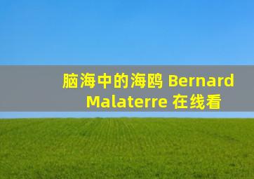 脑海中的海鸥 Bernard Malaterre 在线看